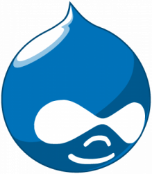 Circular face logo in blue with white eye masks